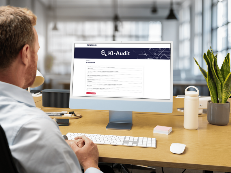 „Person arbeitet an KI-Audit-Dashboard am Bildschirm