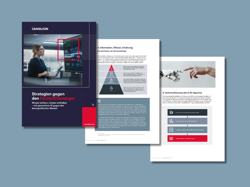 Auszüge vom Consileon Whitepaper, zum Thema Strategien gegen den Fachkräftemangel